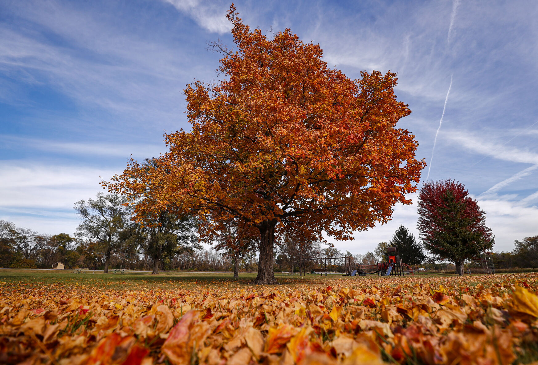 Fall Colours 1